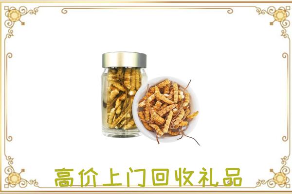 江北周边回收虫草
